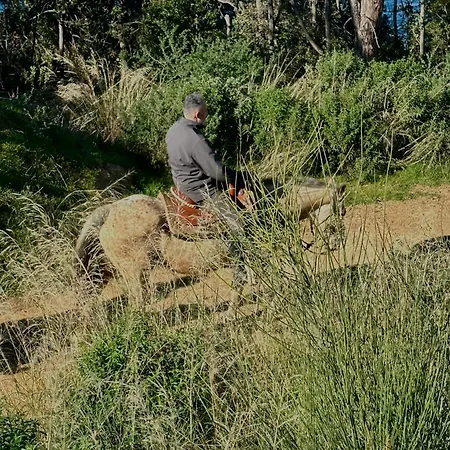 בית נופש Maremma 1851 פולוניקה