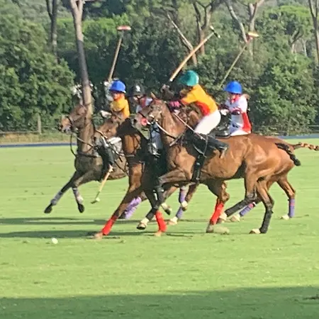 Maremma 1851 * Follonica