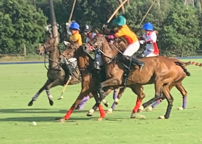 Maremma 1851 * Follonica