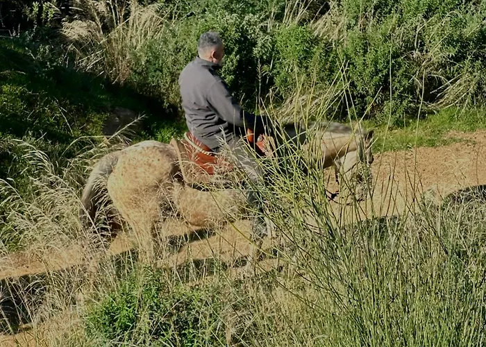 펜션 Maremma 1851 폴로니카